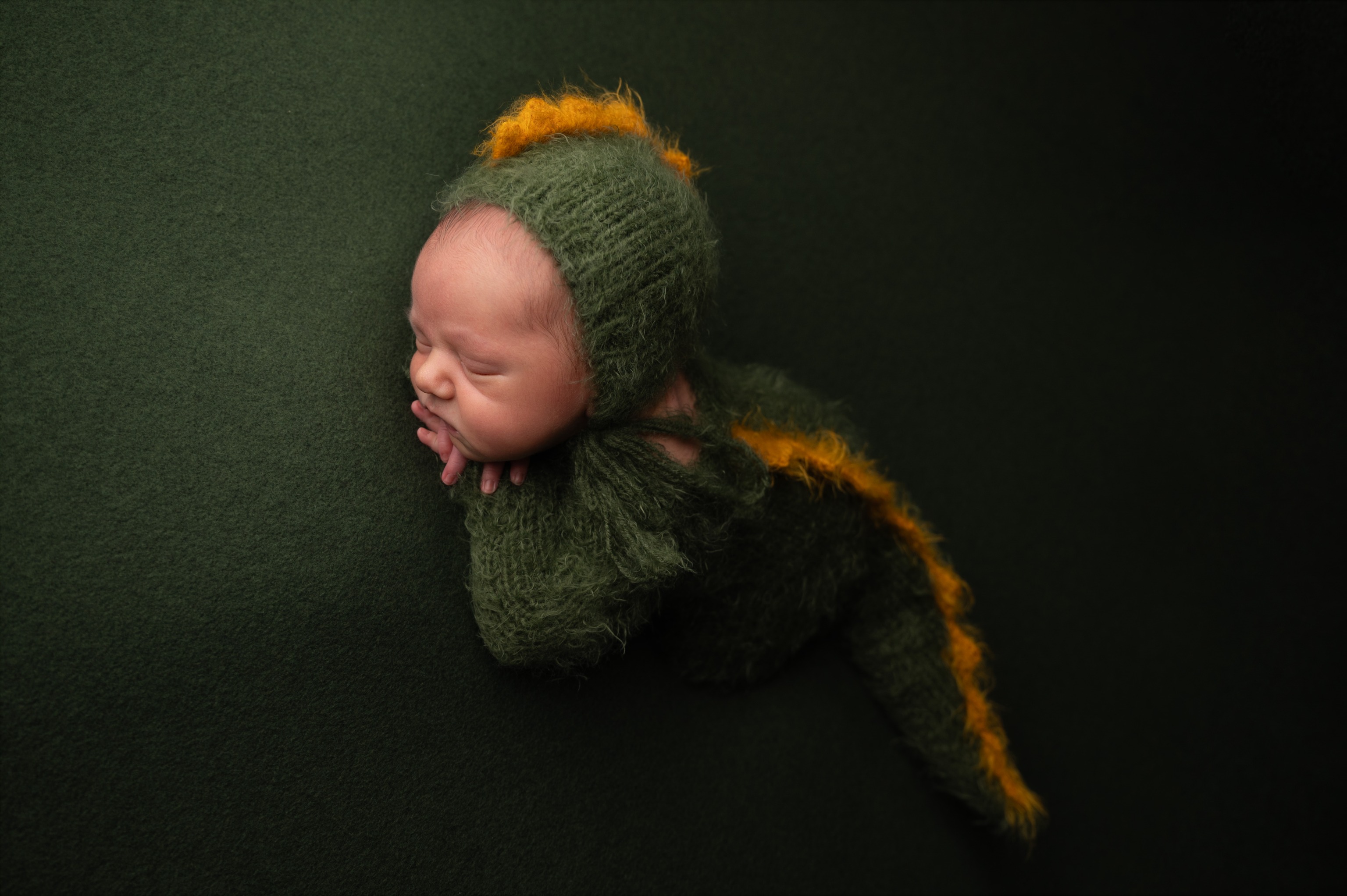 Newborn beba zmajić