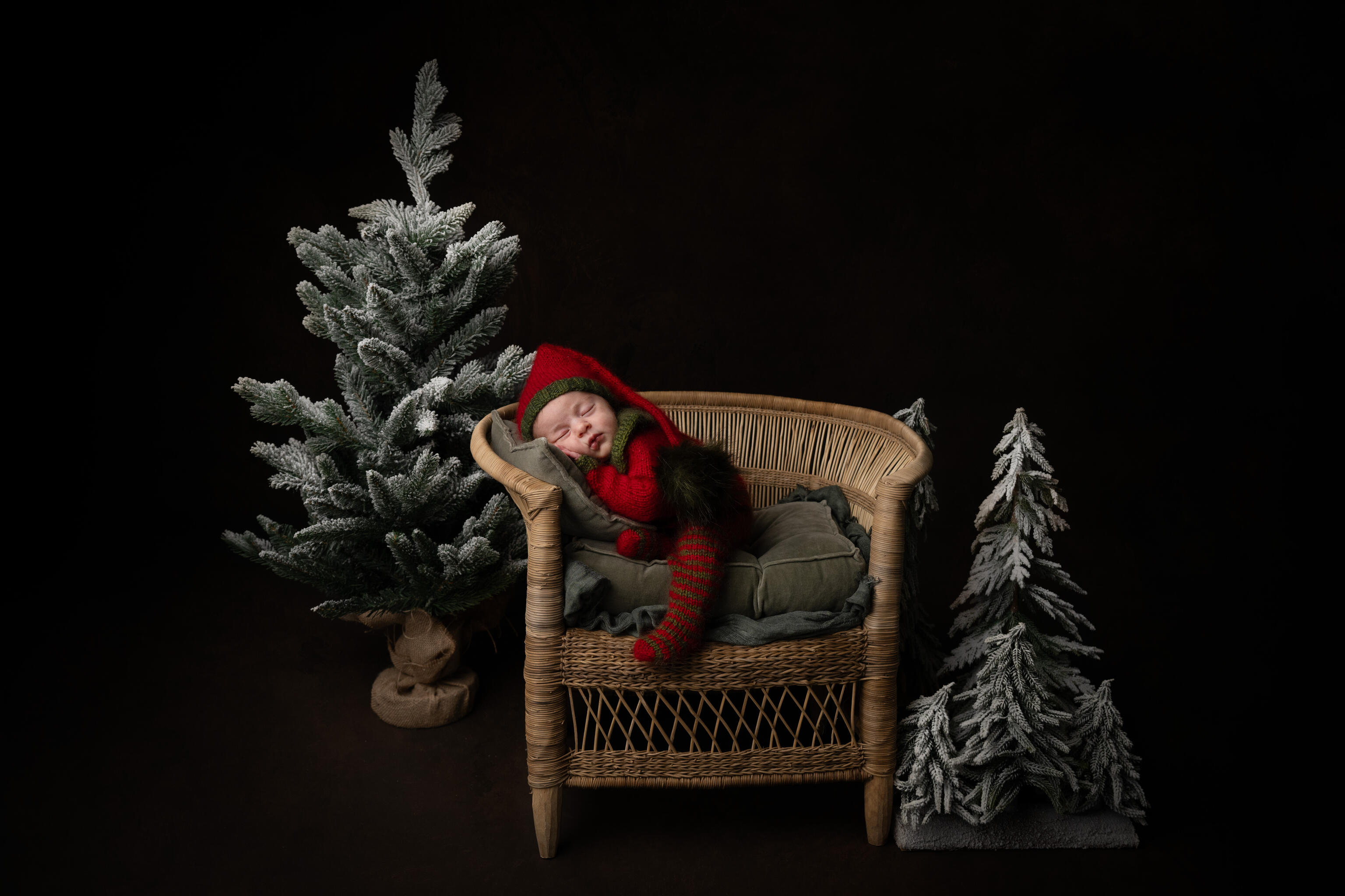 newborn session